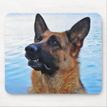German Shepherd -  Dog mouspad Mouse Pads