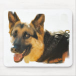 German Shepherd Dog Photo Mousepad