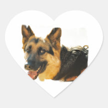 German Shepherd Dog Photo Sticker