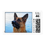 German Shepherd Dog Postage