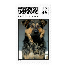 German Shepherd Dog Postage Stamp