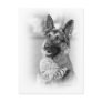 German Shepherd Dog Postcards