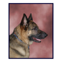 German Shepherd Dog posters