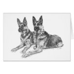 German Shepherd Dogs Drawing by Kelli Swan cards