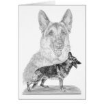 German Shepherd Dogs Drawing by Kelli Swan cards