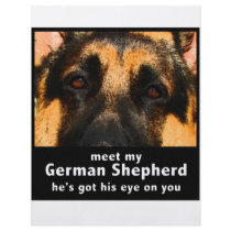 German Shepherd flyers