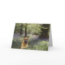 German Shepherd Forest Card