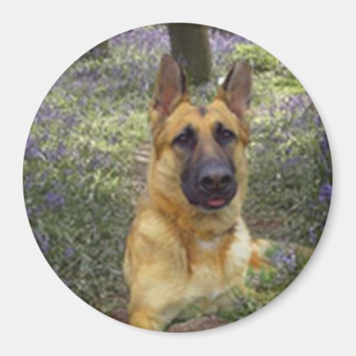 German Shepherd Forest Magnet