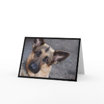 German Shepherd Greeting Card