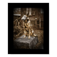 German Shepherd in Gas Mask Posters