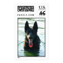 German Shepherd in Water postage by rickped German Shepherd in Water postage