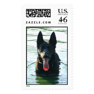 German Shepherd in Water stamp