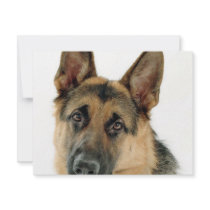 German Shepherd invitations