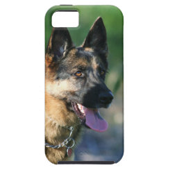 German Shepherd iPhone 5 Case