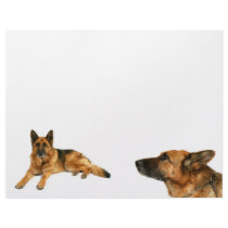 German Shepherd letterhead
