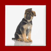 German Shepherd Magnet
