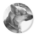 German Shepherd magnets