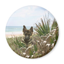 German Shepherd Magnet Beachgrass