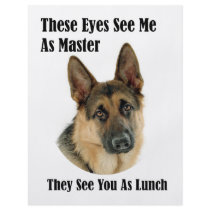 German Shepherd Master Full Color Flyer