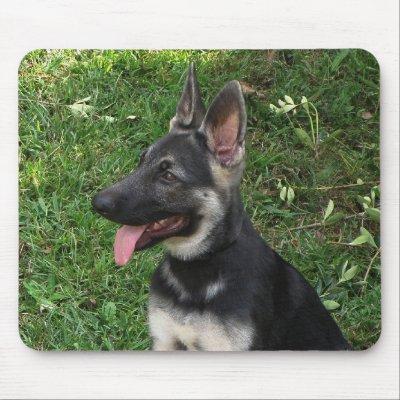 German Shepherd Mousepad by KELLBELL535