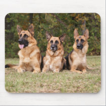 German Shepherd Mousepad mousepads