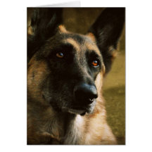 German Shepherd Notecard Card