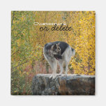 German Shepherd on a Rock; Customizable Fridge Magnets