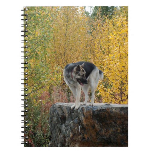 German Shepherd on a Rock Spiral Note Books