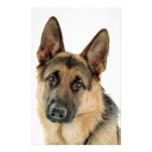 German Shepherd Personalized Stationery