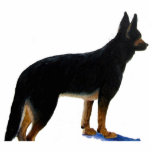 German Shepherd Photo Sculpture photo sculptures