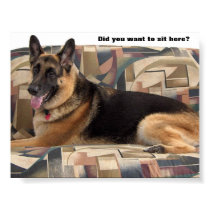German Shepherd Picture posters by Doraevon German Shepherd Picture posters