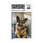 German Shepherd Postage