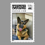 German Shepherd Postage postage