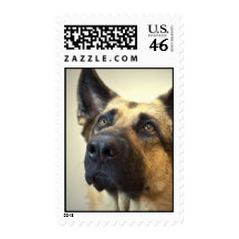 German Shepherd POstage Stamp