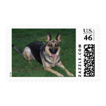 German Shepherd Postage Stamp