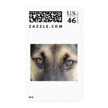 German Shepherd Postage Stamp