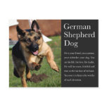 German Shepherd Postcard postcards