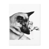 German Shepherd postcards