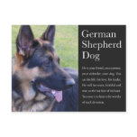 German Shepherd Postcard postcards