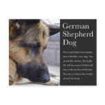 German Shepherd Postcard