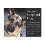 German Shepherd Postcard postcards