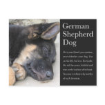 German Shepherd Postcard postcards