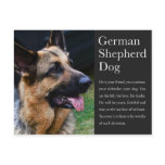 German Shepherd Postcard postcards