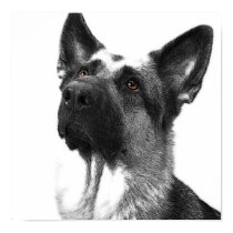 German Shepherd Poster posters