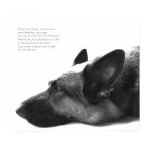 German Shepherd Poster posters