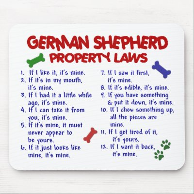 Funny German Shepherd