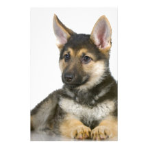 german shepherd pup puppy dog stationery
