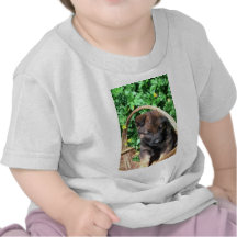 German Shepherd pup Shirts