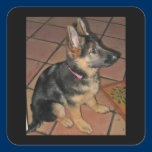 German Shepherd Pup Sticker stickers