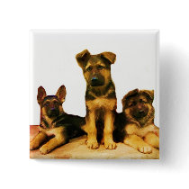 German Shepherd puppies button